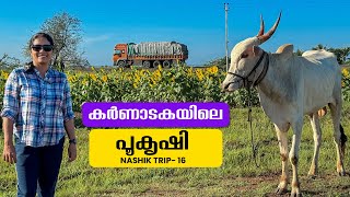 Karnatakas flower farms and wheat puttu for breakfast  Nashik Trip  EP  16  Jelaja Ratheesh [upl. by Bunni37]