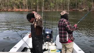 The Easiest Way To Catch White Perch catching over 100 [upl. by Tarabar]