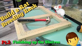 Build a Rat Breeding Rack  Pt2 Finishing Up The Shelves [upl. by Maier]