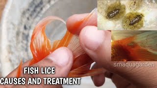 Fish lice treatement  in tamil [upl. by Nosle]