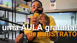 como ESCOLHER o Substrato do Aquário [upl. by Gibbie109]