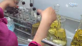 Preparation of Liquid culture of Bacteria [upl. by Tench]