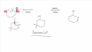 W8W 1220 Acetal formation and Hydrolysis [upl. by Hpseoj874]