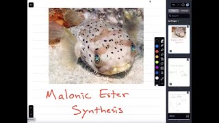 Malonic Ester Synthesis [upl. by Danialah741]