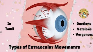 Types of Extra ocular Movements Eyes optometry studywithjeslin  Ductions  Versions  Vergences [upl. by Asylla]