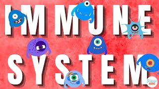 Immune System Innate and Adaptive Immunity Explained [upl. by Ahsram]