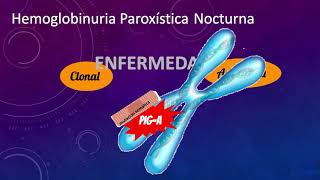 Hemoglobinuria Paroxistica Nocturna [upl. by Buderus315]