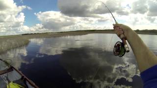 Buzzer fishing Lough Corrib  Red Letter Day Part II [upl. by Aihsekel]