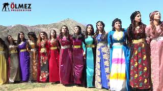 GAZİ YILDIRIM MUHTEŞEM HALAYI ANDAÇ KÖYÜ FARİS AKİSET DÜĞÜNÜ ŞIRNAK DÜĞÜNLERİ kurdish wedding [upl. by Anauq132]