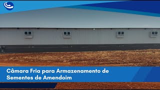 Câmara Fria para Armazenamento de Sementes de Amendoim  Projeto CN COLD [upl. by Crowell]