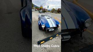 1965 Shelby Cobra cars automobile shorts fyp dream classiccars shelby [upl. by Nileuqay]