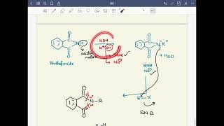 Tricks Mechanism Gabriel Phthalimide Synthesis primary amine preparation JEENEET Organic Chem [upl. by Amos981]