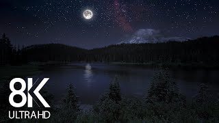 10 HRS of Nighttime Nature Soundscapes Lake Waves Cicadas Crickets  8K Enchanting Night [upl. by Naelopan]