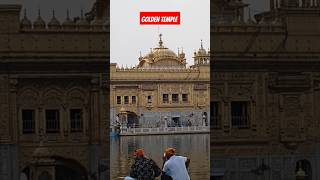 The golden temple 🛕Amritsar 🙏🙏punjab💛💛shorts🔥yt shorts shorts feedyoutube shorts nature [upl. by Judson]