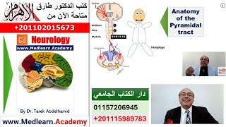 Localization of Neurological Lesions Part 1 [upl. by Lorn]