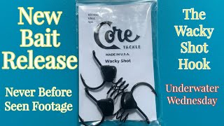 New Bait Release Core Tackle Wacky Shot [upl. by Nade]