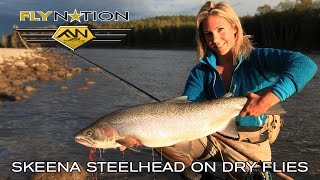 Fly Nation Skeena Steelhead on Dry Flies [upl. by Sender]