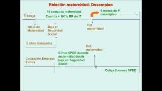 umh1909 201213 Lec005 Subsidio por Maternidad 23 [upl. by Jansson]