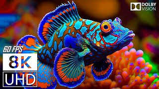 AQUARIUM 8K 60 FPS VIDEO ULTRA HD  Beautiful Coral Reef Fish  Inspiring Cinematic Music [upl. by Sonny]