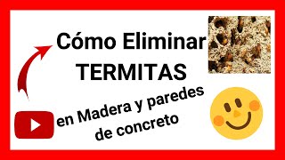 ✔️ Cómo Eliminar TERMITAS en Madera 【y paredes de concreto】 [upl. by Yrro]