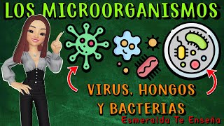 🔬🤧Los Microorganismos Virus Bacterias Hongos y Parásitos🦠🔍 [upl. by Moscow]