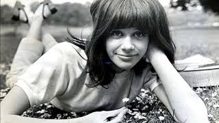 Vashti Bunyan  17 Pink Sugar Elephants 1966 [upl. by Devland318]