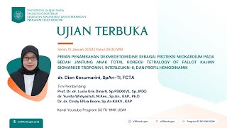 Ujian Terbuka Program Doktor FKKMK UGM Atas Nama dr Dian Kesumarini SpAnTI FCTA [upl. by Dunlavy]