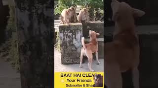 Hansi ki video Aisi milati Rahegi like karo share karo🐒🐒😂🤣😅 [upl. by Bobbi]