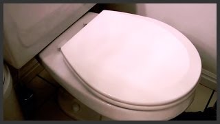 How to replace a toilet seat [upl. by Annay]