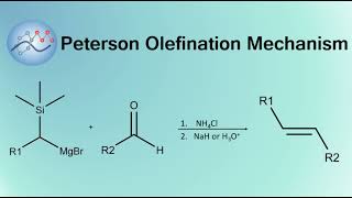 Peterson Olefination Mechanism  Organic Chemistry [upl. by Ag310]