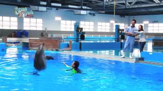 【Ocean Park Channel】Ocean Park InsideTrax Episode 8  Dolphin My Pals Part 1 HD 1080 [upl. by Shiekh]