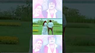 Telugu super hit melody chiranjeevi suhashini youtubeshorts telugushorts viralshorts music [upl. by Roda972]