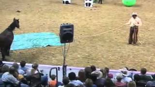 Parelli Natural Horse Training Tip  Horse Confidence [upl. by Goldfarb]