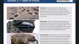 Gr 8 Science Types of Fossils [upl. by Gian]