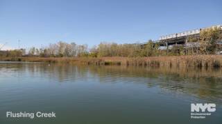 NYC Waterways—Flushing Creek [upl. by Laud]