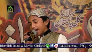 Heart touching Rubaiyat By Taiyab Tahir Hameedi Sialvi 2018 [upl. by Annaujat]