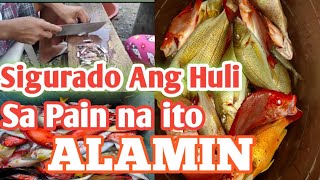 EPIKTIBONG PAMAIN SA MAMAHALING ISDA  Kabobordz TV [upl. by Dedie]