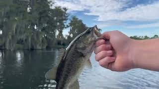 Disney fishing guided trip best moments [upl. by Amaryllis136]