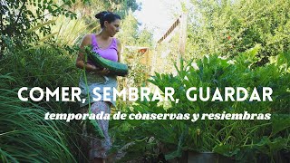 Levantar el Tablero  Comer Sembrar y Guardar La huerta en Febrero [upl. by Lerat]