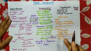 MIND COMPARISON  Belladonna Hyoscymus Stramonium Veratrum Album  Homoeopathic Materia Medica [upl. by Etka]