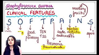 MICROBIOLOGY crash course PART4 [upl. by Gonyea]