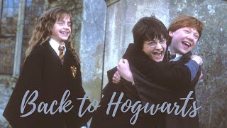 Back to Hogwarts 🚂  Harry Potter Movie Series my collection unboxing and more [upl. by Noirod]