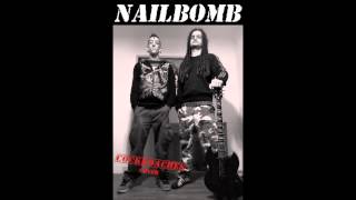 AUDIONERVE  Cockroaches NAILBOMB cover feat gERI [upl. by Yer]