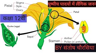 REPRODUCTION In flowering plants [upl. by Nita]