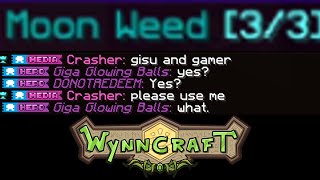 The Wynncraft Community Experience [upl. by Blood771]