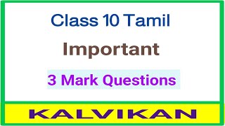 Class 10 Tamil Important 3 Mark Questions  Kalvikan [upl. by Otir142]