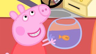 Peppa Pig Full Episodes  Goldie the Fish  Cartoons for Children [upl. by Erdei]