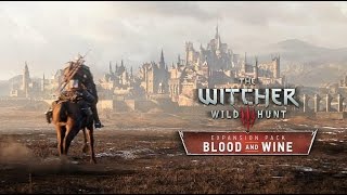 The Witcher 3 Blood amp Wine Dettlaff besiegen [upl. by Ardnosac54]