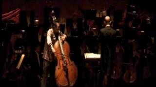 Dvorak Cello Concerto 2nd mvt PART I [upl. by Eisak]