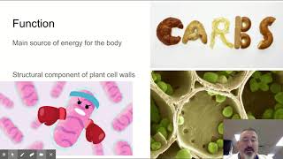 Biology 1 23 Macromolecules Carbohydrates [upl. by Aehcim233]